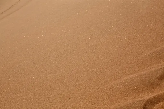 Bingo Millionaire Casino Support